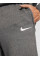 Брюки чоловічі Nike Park 20 Fleece (CW6907-071)
