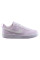 Кросівки жіночі Nike Court Borough Low Gs (DV5456-500)