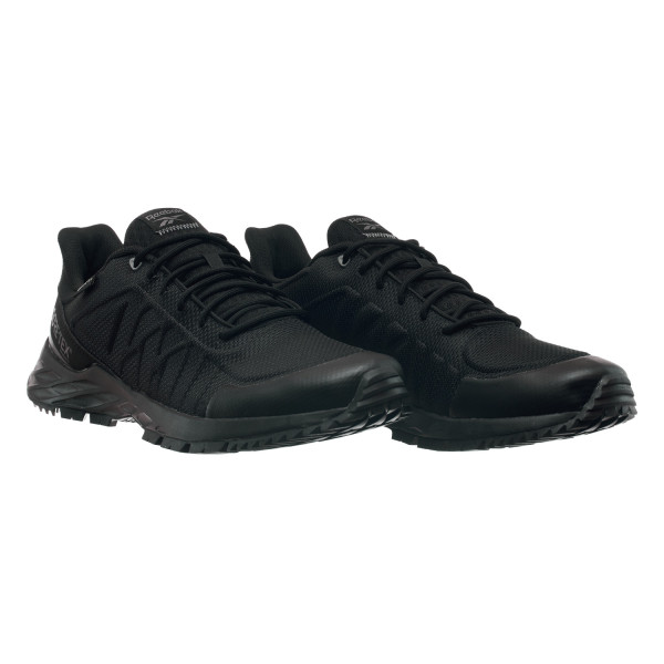 Кросівки чоловічі Reebok Astroride Trail Gtx 2.0 (EF4157)