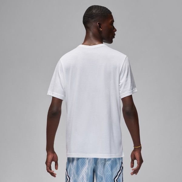 Футболка чоловіча Jordan Dri-Fit Sport Performance (FN5829-100)